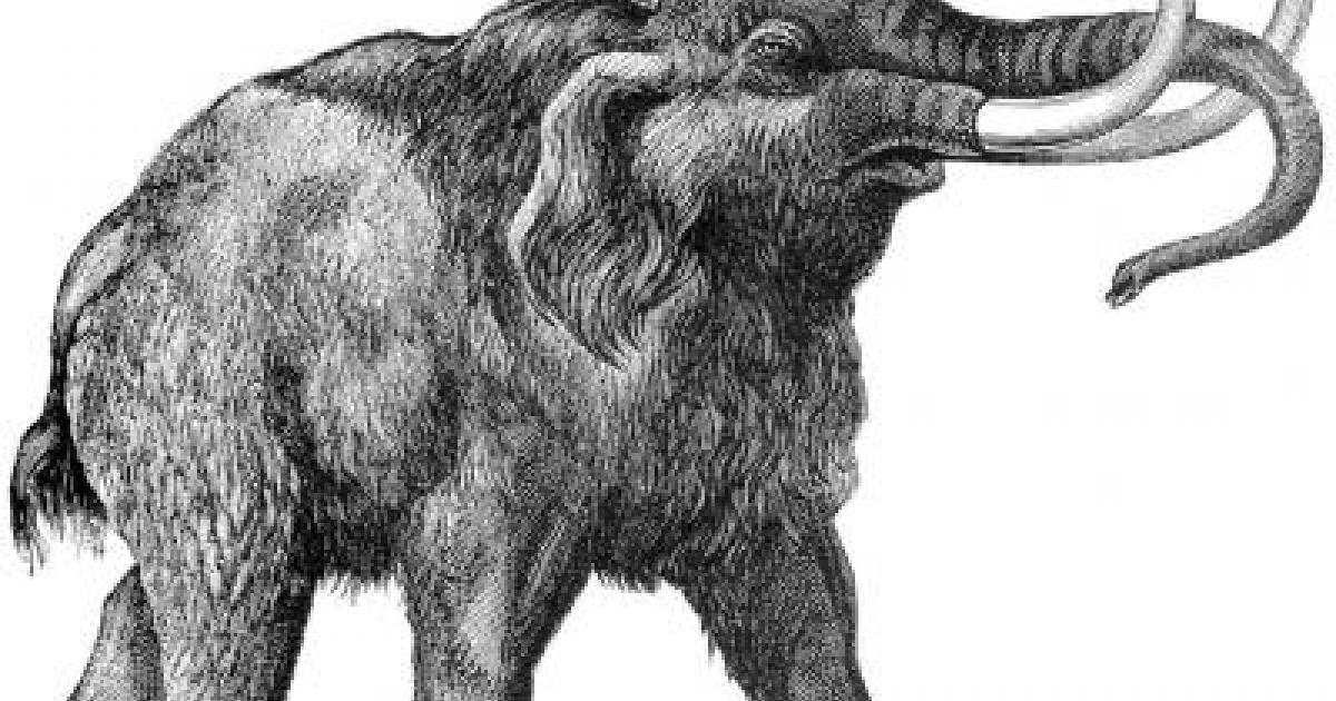 Jan Krásenský Seznam.cz