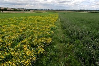 Policie vyšetřuje pád skupiny APF. Její bývalý šéf dál láká na investice - Seznam Zprávy