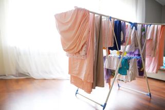 Pokud v bytě sušíte prádlo, potřebujete právě tuhle rostlinu. Proti podzimní plísni funguje skvěle - EnergoZrouti.cz