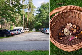 Houbaři zešíleli: "Trochu naprší a v lese to je jak na Václaváku. Vše vytrhali, ale tady rostou."