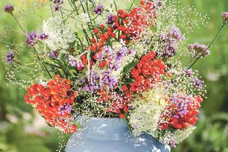 Plody podzimu využijte jako šperky interiéru - Novinky