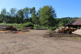 Na Rychnovsku zmizelo 20 kubíků smrkového dřeva, zloděj musel použít nakládací rameno - Novinky