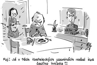 Babiš, slouhové a nepřátelé. Proč šéf ANO nemá rád zbrojaře Strnada