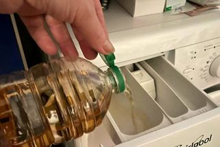 Kdo při praní nepoužívá ocet, otáčí se k perfektnímu pracímu prostředku zády. Poradí si s odolnými skvrnami i zvířecími chlupy...