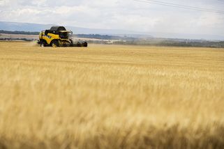 Investor do půdy APF je v úpadku, firmu poháněly peníze od veřejnosti - Seznam Zprávy