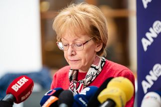 Do imunitního výboru míří Válková, Vondráček, Haas, Stojanová či Koten - Seznam Zprávy