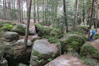 „S tím jsem se ještě nesetkal.“ Kraj chce zmenšit přírodní rezervaci - Seznam Zprávy