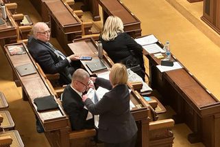 Černochová se pochlubila tričkem s F-35, jedno věnovala Babišovi - Novinky