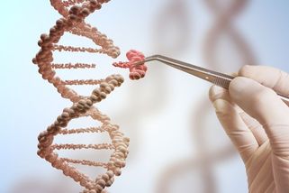 Přelomová léčba na míru umí (skoro) zázraky. Jenže si ji nemůžeme dovolit - Seznam Zprávy