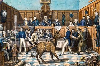 Oběšené prase, upálený kohout, prokleté myši. Středověké soudy se zvířaty - Novinky