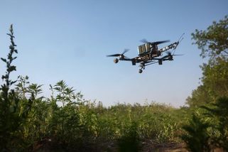 V poli ve východním Polsku našli trosky neurčeného létajícího objektu - Seznam Zprávy