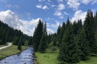 prahain.cz/jidlo/prazska-rodina-si-dala-svickovou-na-modrave-cenu-rozdychavala-jeste-doma-24733.html