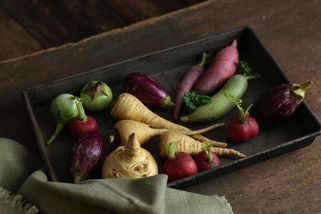 Pěstujete si potraviny doma? Jejich uhlíková stopa je 5× vyšší než u těch ze supermarketu - Médium.cz