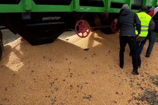 Poláci vysypali ukrajinské obilí. Sklízíme ho v neprůstřelných vestách, reagují Ukrajinci - Novinky