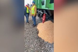 Video: Obilí na hranicích. Poláci vyrazili do boje proti dovozu z Ukrajiny - Seznam Zprávy