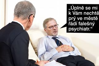TMBK: Petr Fiala na doporučení poslance Babiše navštívil psychiatra - Seznam Zprávy