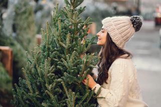 Dvoumetrová jedlička až za 1100 korun. Vánoční stromky letos podraží, pěstitele potrápily jarní mrazíky