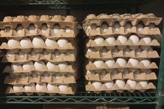 Američané už nezvládají drahá vajíčka. Pomoc žádá Trump i od Česka