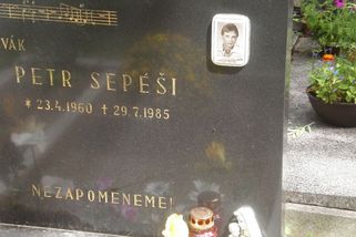 Zapomenuté tváře normalizačního popu: Petr Sepeši. Idylka svazáckého páru trvala jen dva roky - Médium.cz