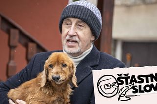 Chcete zpátky Babiše? „Projekt Strach“ nemusí fungovat věčně - Seznam Zprávy