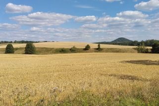 Čekají nás příjemné letní dny - Novinky