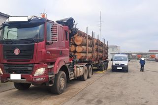 Přetížené kamiony brázdí české silnice. Kláďák překročil limit o šest tun - Novinky