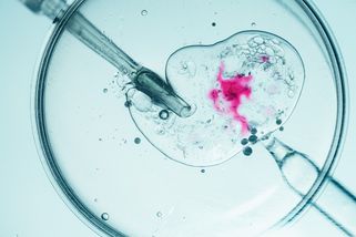 Genetička Barbora Baďurová: Na plodnost má vliv i to, jak se chovala vaše babička