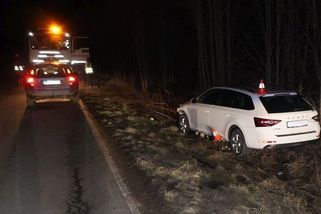 Řidiče polekaly srny a narazil do stromu. Naštěstí vyvázl bez zranění - Novinky