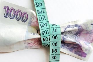 PŘEHLEDNĚ: O kolik víc vám sebere stát od únorové výplaty - Novinky