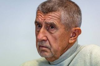 Střet zájmů není důvod, abych nebyl jmenován premiérem, řekl Deníku Babiš