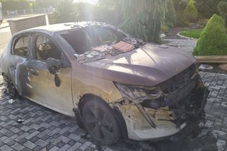 Na hašení elektromobilů s cobrou. Hasiči ji chválí, odborníci před ní varují - Novinky