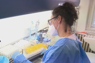 Česko hlásí nárůst infekčních chorob. Může za to oslabená imunita, tvrdí lékaři