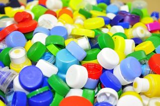 Jak nám EU překazila víčkovou charitu - Médium.cz