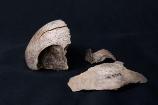 Vědci konečně odhalili bájnou pravlast Slovanů ve východní Evropě - Novinky