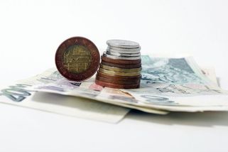 Státní dluh je rekordní - Novinky