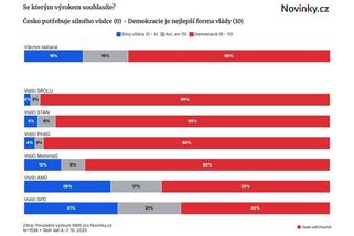 Průzkum: Pětina Čechů by uvítala silného vůdce - Novinky