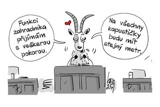 KEMEL: Koza rozhoduje - Novinky