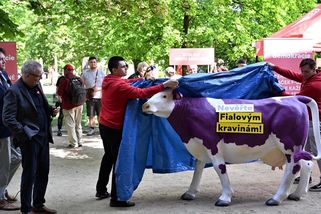 Fotky na 1. máje: „Fialovy kraviny“, průvody levice a líbání na Petříně - Seznam Zprávy