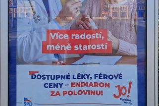 SPD slibuje, že zařídí endiaron. Ten se přitom vrací i bez ní - Novinky