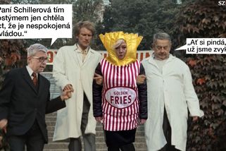 TMBK: Schillerová zase řádí. Spletla si Sněmovnu s maškarním - Seznam Zprávy