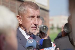 Přetáhl Babiše holí po hlavě, dostal podmínku. Žalobce podal odpor, pro seniora chce pokutu