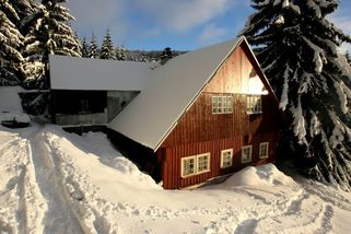 Američané nenávidí náš nejoblíbenější československý film. Prý je pro psychopaty a děti měly skončit na sociálce