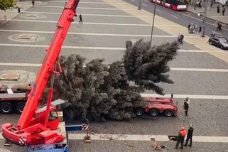 Vánočnímu stromu v Ústí se při instalaci ulomila špička - Novinky