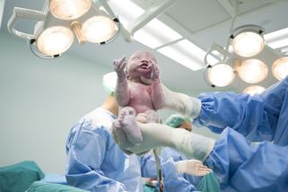 Staneme se zemí „císařů“? Česko má nový rekord - Seznam Zprávy