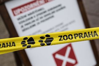 Pražskou zoo dočasně povede šéf magistrátního odboru ochrany prostředí - Seznam Zprávy
