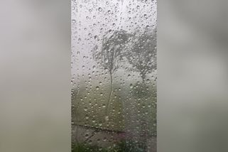 Na Kroměřížsku řádil downburst - Novinky