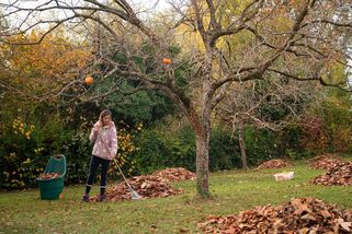 Pošlete zahradu spát, na jaře se vám odmění - Novinky