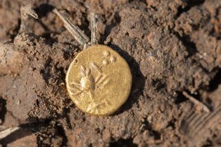 Tajné naleziště na Plzeňsku vydalo stovky zlatých a stříbrných keltských mincí - Novinky