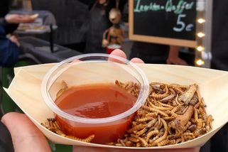 Evropští astronauti by mohli v kosmu jíst hmyz. Startuje nový výzkum