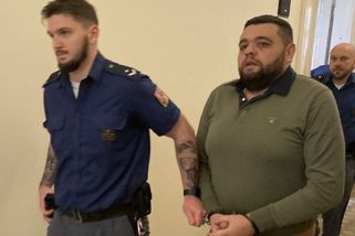 Za nájemnou vraždu padly výjimečné tresty, objednavatel dostal 28 let - Seznam Zprávy